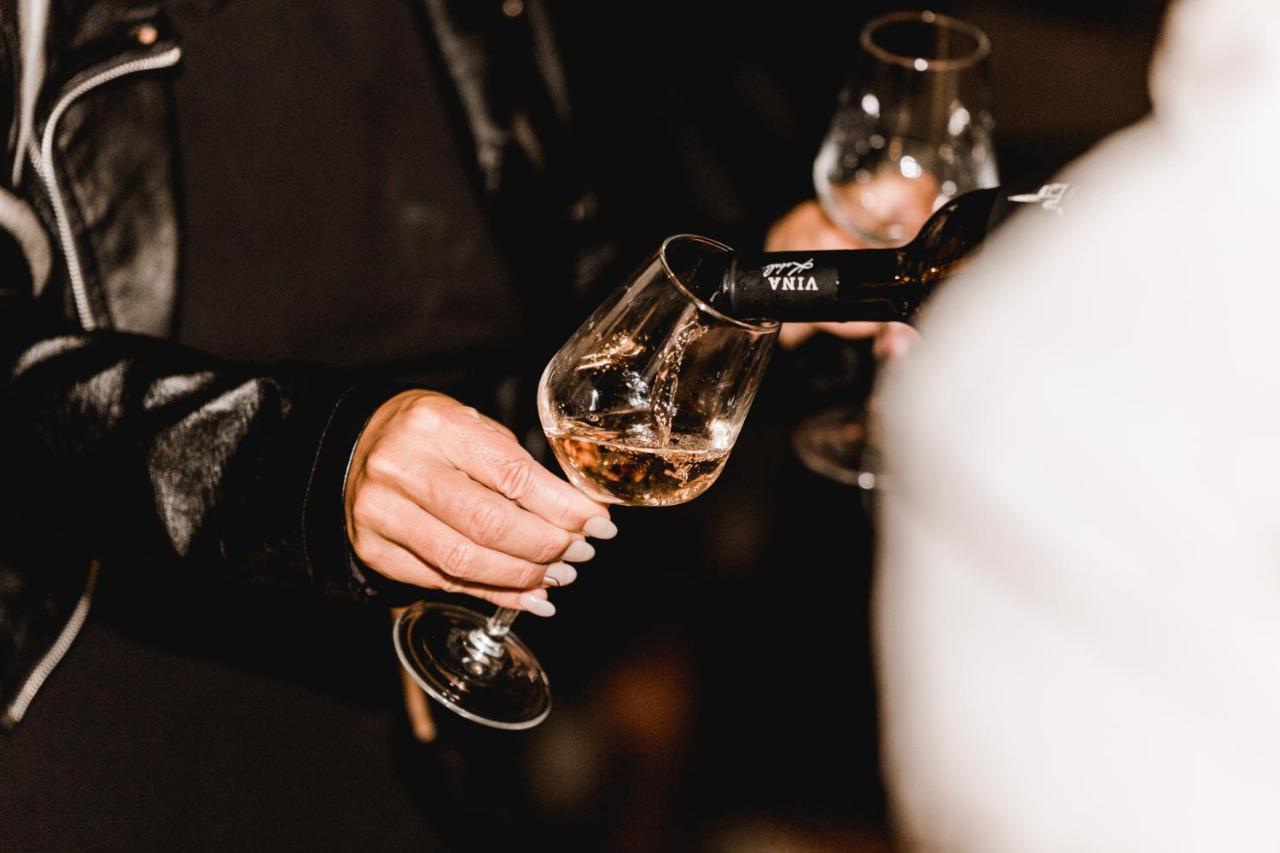 Appartamento Vina Kobal, Kobal Family Estate Štanjel Esterno foto