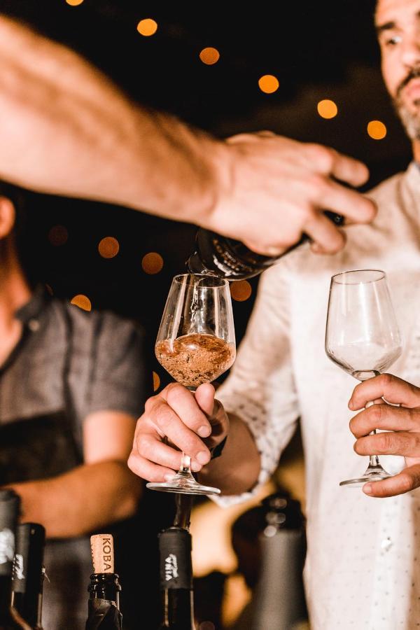 Appartamento Vina Kobal, Kobal Family Estate Štanjel Esterno foto