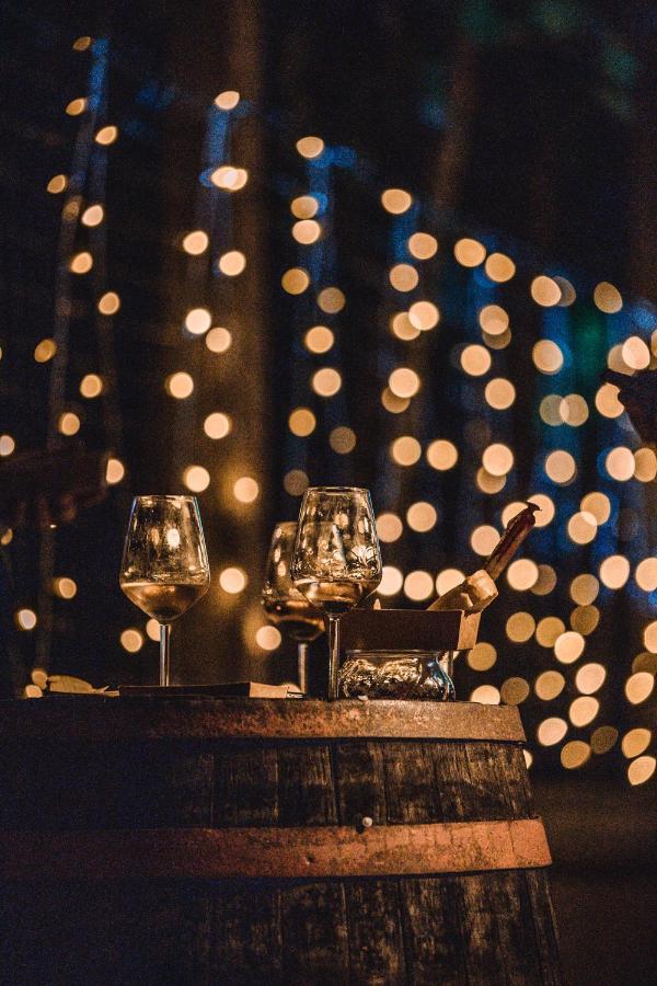 Appartamento Vina Kobal, Kobal Family Estate Štanjel Esterno foto