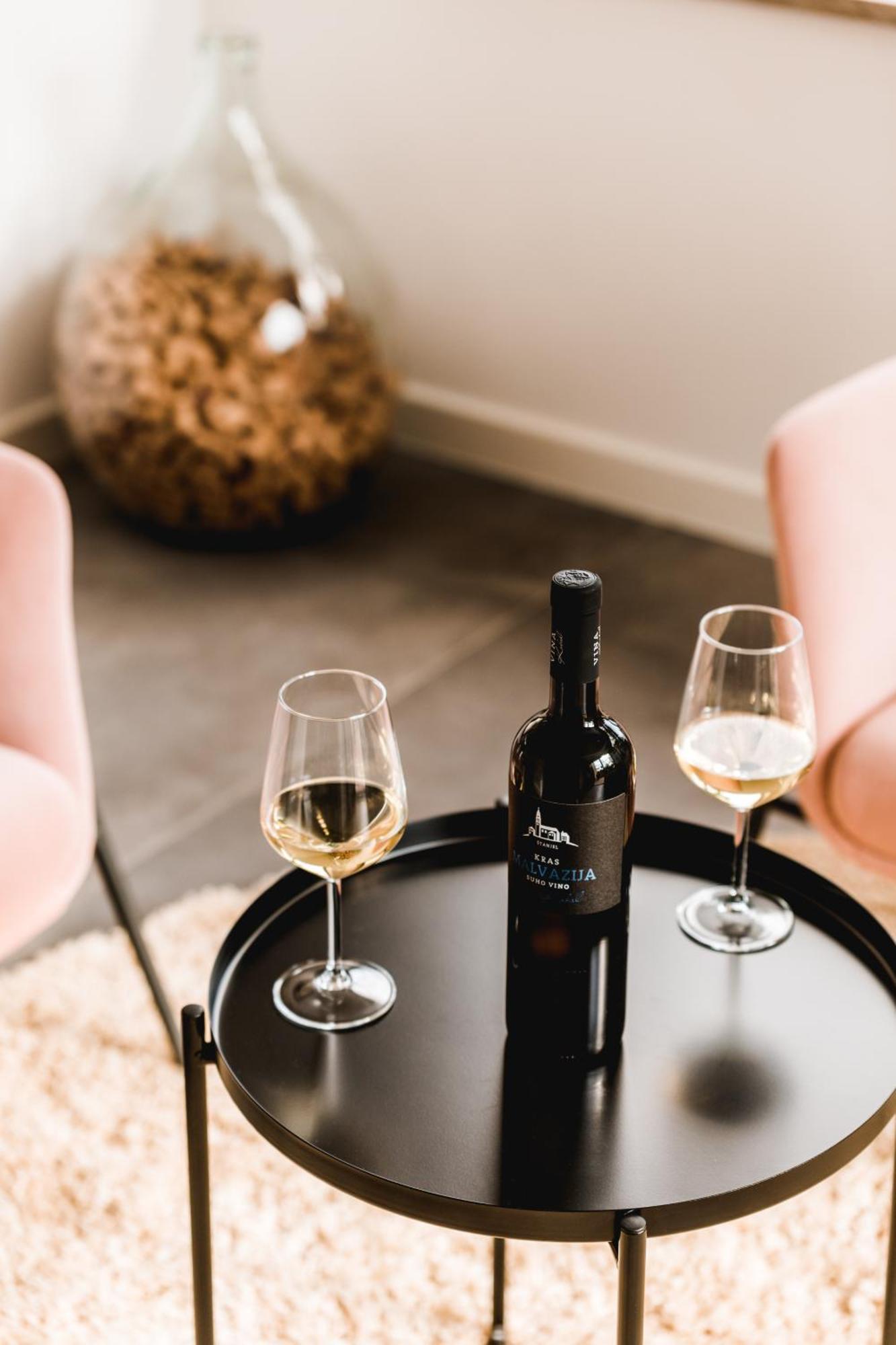 Appartamento Vina Kobal, Kobal Family Estate Štanjel Esterno foto
