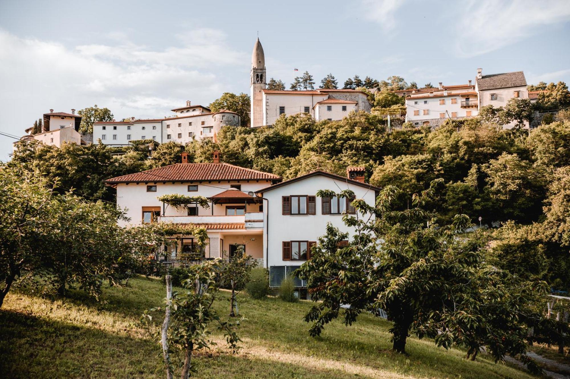 Appartamento Vina Kobal, Kobal Family Estate Štanjel Esterno foto