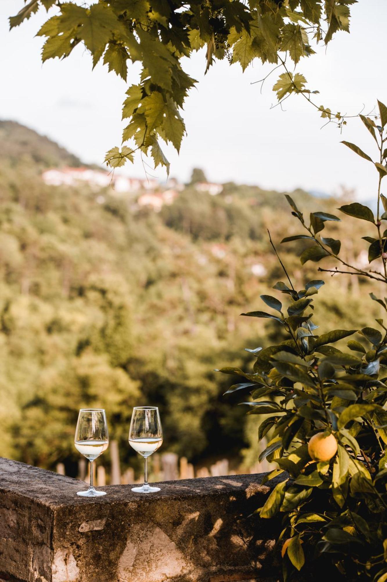 Appartamento Vina Kobal, Kobal Family Estate Štanjel Esterno foto